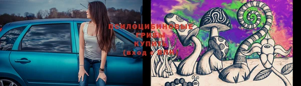 сатива Зеленодольск