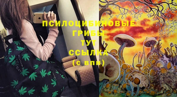jwh Зеленокумск